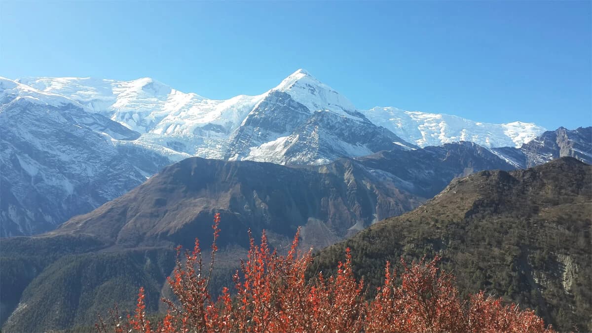 Dhaulagiri Sanctuary Trek